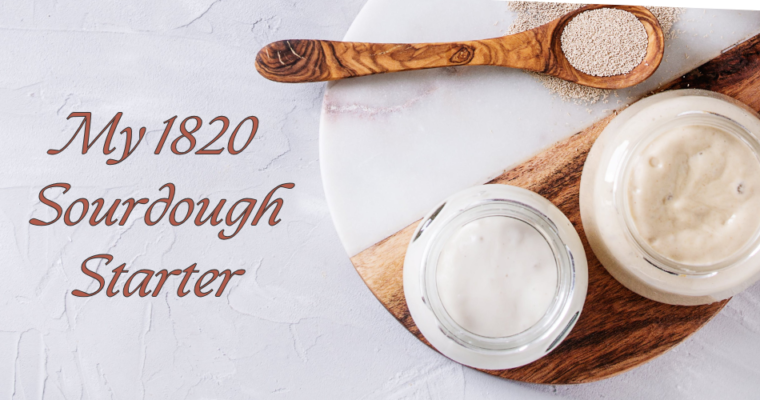 Reviving History: The Art of Fermentation with My 1820 Sourdough Starter